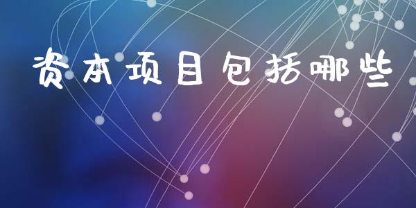 资本项目包括哪些_https://wap.yjjixie.cn_保险理财_第1张