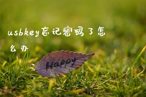 usbkey忘记密码了怎么办_https://wap.yjjixie.cn_保险理财_第1张