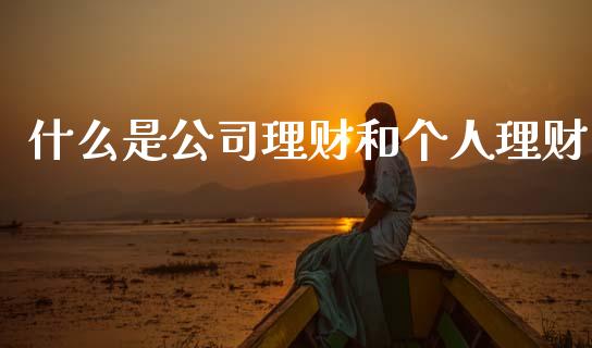什么是公司理财和个人理财_https://wap.yjjixie.cn_保险理财_第1张