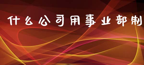 什么公司用事业部制_https://wap.yjjixie.cn_保险理财_第1张