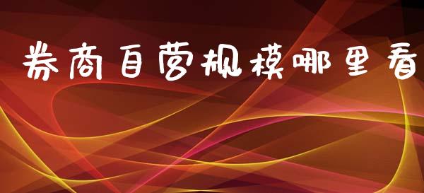 券商自营规模哪里看_https://wap.yjjixie.cn_证券市场_第1张