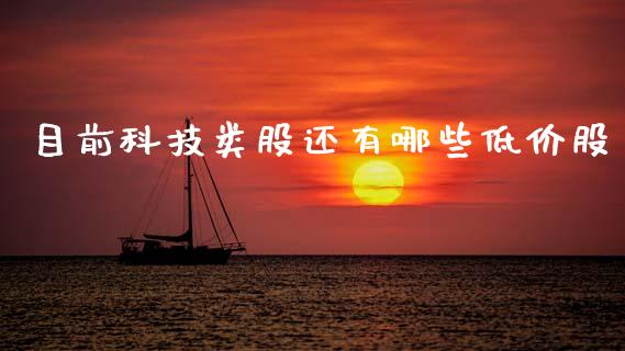 目前科技类股还有哪些低价股_https://wap.yjjixie.cn_商业资讯_第1张