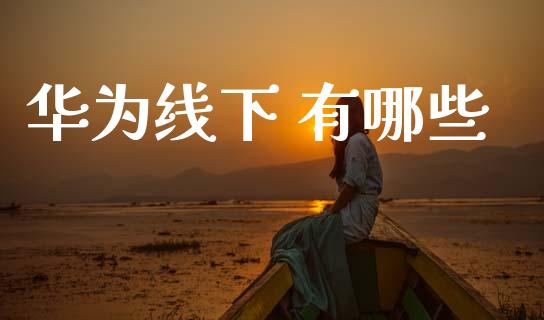华为线下 有哪些_https://wap.yjjixie.cn_商业资讯_第1张