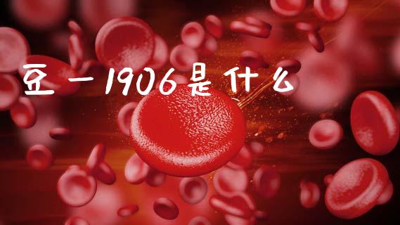 豆一1906是什么_https://wap.yjjixie.cn_证券市场_第1张