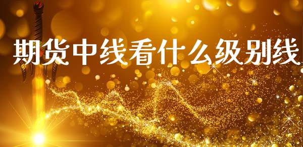 期货中线看什么级别线_https://wap.yjjixie.cn_港股行情_第1张