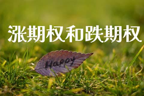 涨期权和跌期权_https://wap.yjjixie.cn_商业资讯_第1张