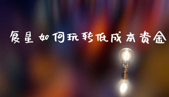 复星如何玩转低成本资金_https://wap.yjjixie.cn_港股行情_第1张