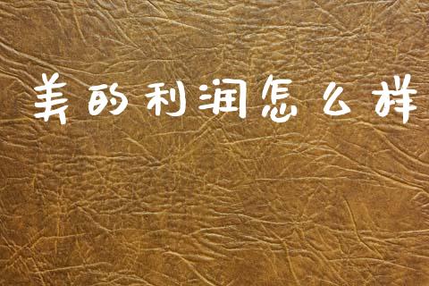 美的利润怎么样_https://wap.yjjixie.cn_港股行情_第1张