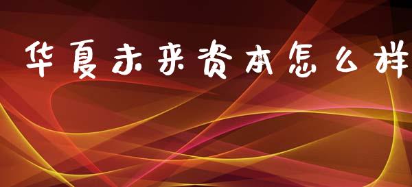华夏未来资本怎么样_https://wap.yjjixie.cn_证券市场_第1张