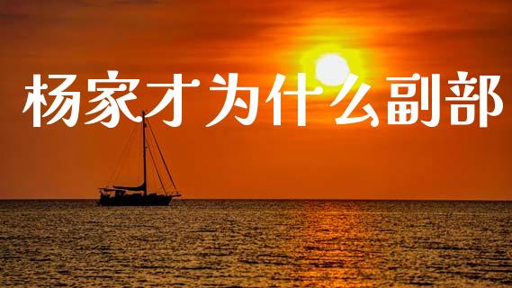 杨家才为什么副部_https://wap.yjjixie.cn_商业资讯_第1张