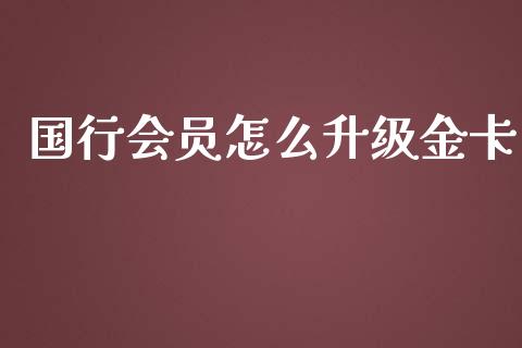 国行会员怎么升级金卡_https://wap.yjjixie.cn_保险理财_第1张
