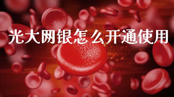 光大网银怎么开通使用_https://wap.yjjixie.cn_港股行情_第1张
