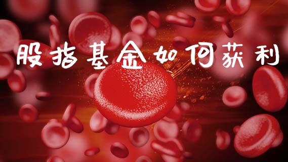 股指基金如何获利_https://wap.yjjixie.cn_证券市场_第1张