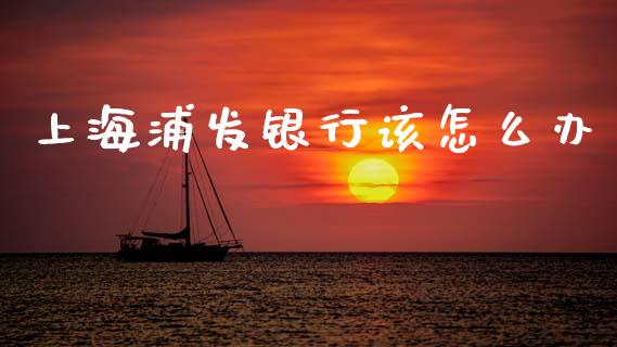上海浦发银行该怎么办_https://wap.yjjixie.cn_保险理财_第1张