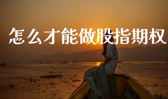 怎么才能做股指期权_https://wap.yjjixie.cn_保险理财_第1张