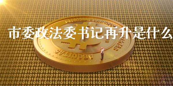 市委政法委书记再升是什么_https://wap.yjjixie.cn_港股行情_第1张
