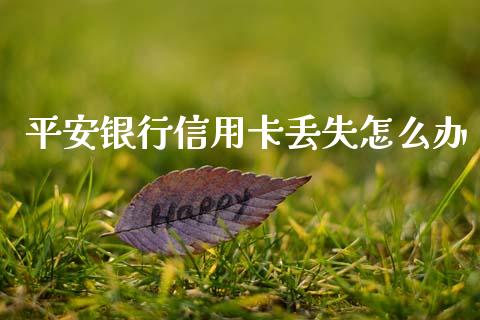 平安银行信用卡丢失怎么办_https://wap.yjjixie.cn_保险理财_第1张