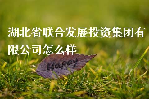 湖北省联合发展投资集团有限公司怎么样_https://wap.yjjixie.cn_商业资讯_第1张