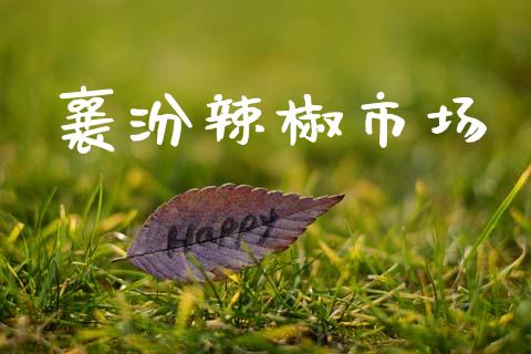 襄汾辣椒市场_https://wap.yjjixie.cn_保险理财_第1张