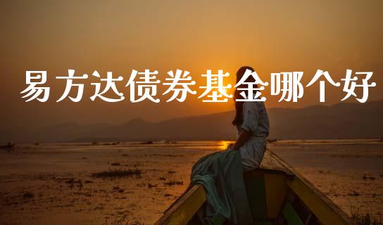 易方达债券基金哪个好_https://wap.yjjixie.cn_港股行情_第1张