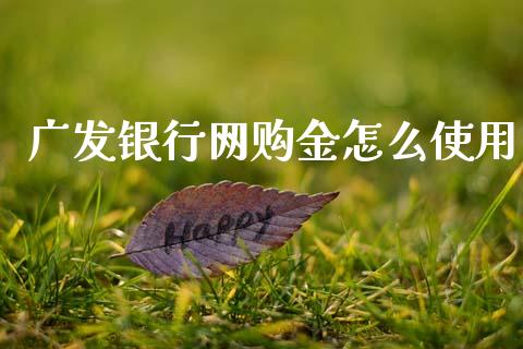 广发银行网购金怎么使用_https://wap.yjjixie.cn_证券市场_第1张