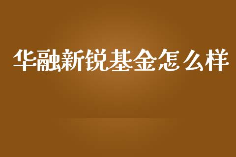 华融新锐基金怎么样_https://wap.yjjixie.cn_港股行情_第1张