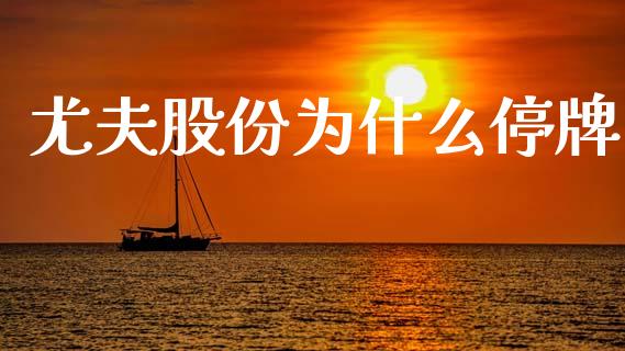 尤夫股份为什么停牌_https://wap.yjjixie.cn_证券市场_第1张