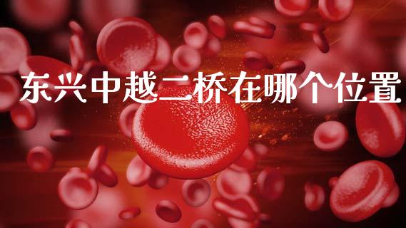 东兴中越二桥在哪个位置_https://wap.yjjixie.cn_保险理财_第1张