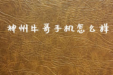 神州牛哥手机怎么样_https://wap.yjjixie.cn_港股行情_第1张