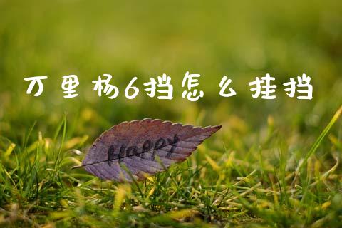 万里杨6挡怎么挂挡_https://wap.yjjixie.cn_证券市场_第1张