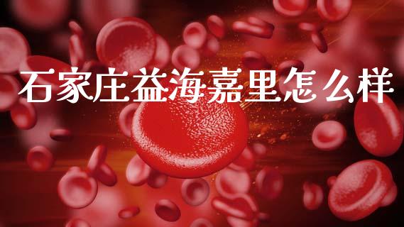 石家庄益海嘉里怎么样_https://wap.yjjixie.cn_商业资讯_第1张