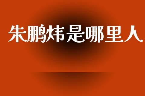 朱鹏炜是哪里人_https://wap.yjjixie.cn_商业资讯_第1张