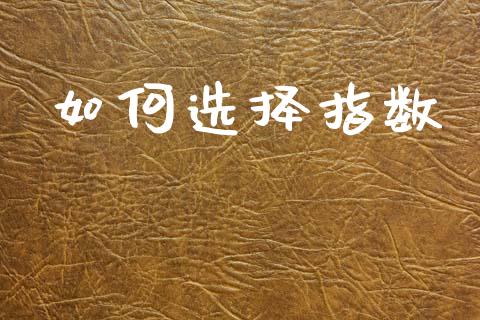 如何选择指数_https://wap.yjjixie.cn_保险理财_第1张