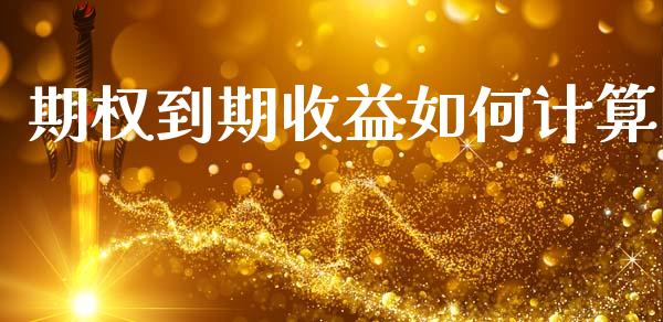 期权到期收益如何计算_https://wap.yjjixie.cn_港股行情_第1张