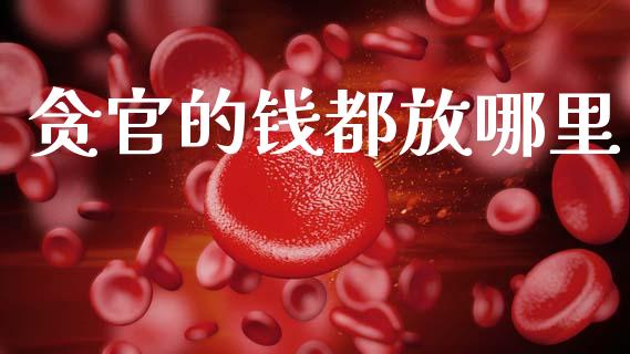 贪官的钱都放哪里_https://wap.yjjixie.cn_证券市场_第1张