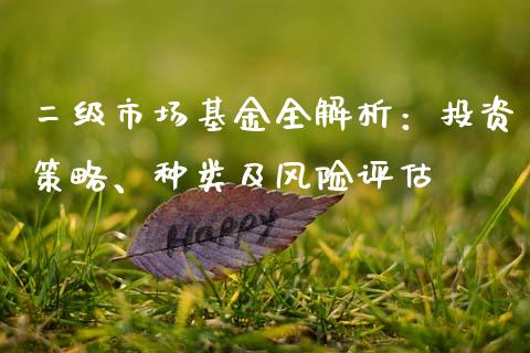 二级市场基金全解析：投资策略、种类及风险评估_https://wap.yjjixie.cn_港股行情_第1张