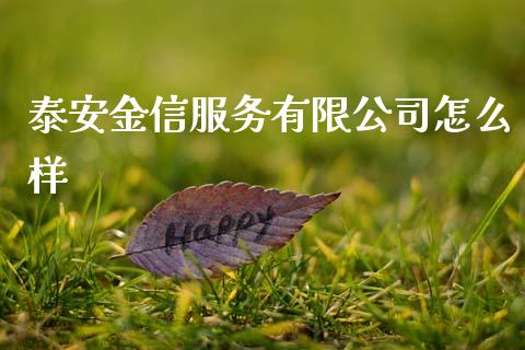 泰安金信服务有限公司怎么样_https://wap.yjjixie.cn_保险理财_第1张