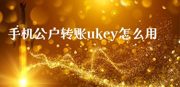 手机公户转账ukey怎么用_https://wap.yjjixie.cn_商业资讯_第1张