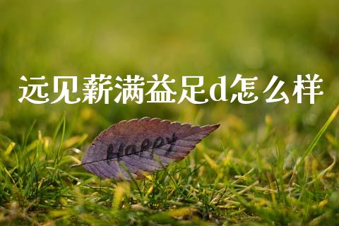 远见薪满益足d怎么样_https://wap.yjjixie.cn_港股行情_第1张