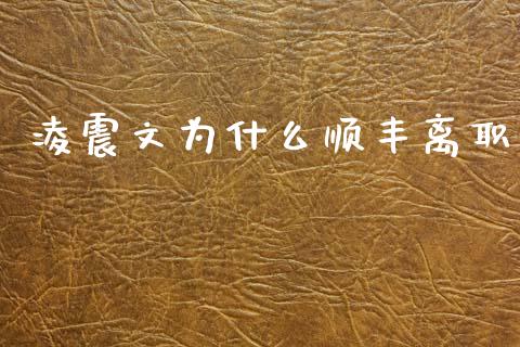 凌震文为什么顺丰离职_https://wap.yjjixie.cn_港股行情_第1张
