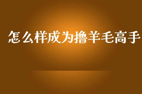 怎么样成为撸羊毛高手_https://wap.yjjixie.cn_保险理财_第1张