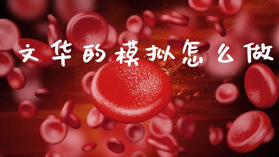 文华的模拟怎么做_https://wap.yjjixie.cn_证券市场_第1张