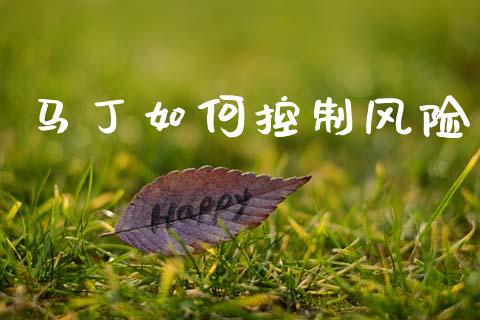 马丁如何控制风险_https://wap.yjjixie.cn_保险理财_第1张