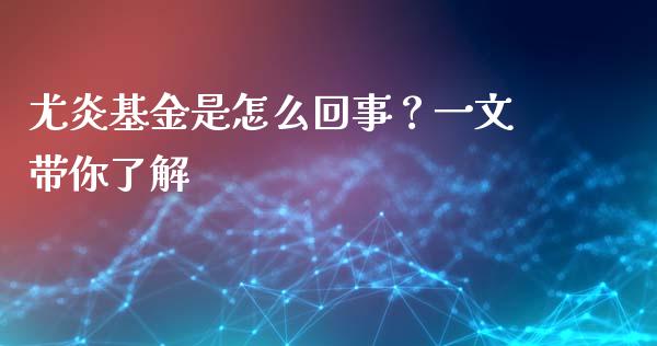 尤炎基金是怎么回事？一文带你了解_https://wap.yjjixie.cn_保险理财_第1张
