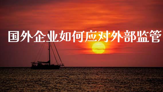 国外企业如何应对外部监管_https://wap.yjjixie.cn_港股行情_第1张