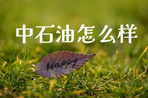 中石油怎么样_https://wap.yjjixie.cn_证券市场_第1张