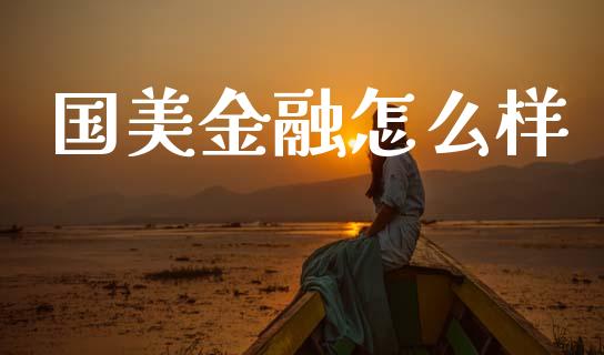 国美金融怎么样_https://wap.yjjixie.cn_保险理财_第1张