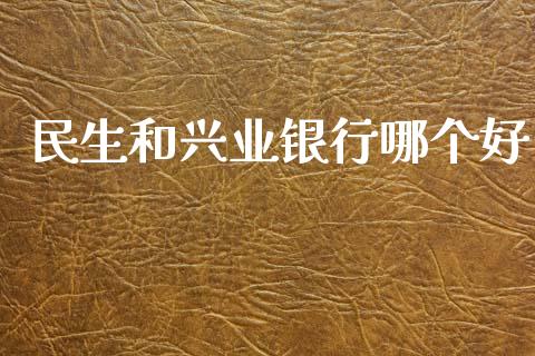民生和兴业银行哪个好_https://wap.yjjixie.cn_商业资讯_第1张