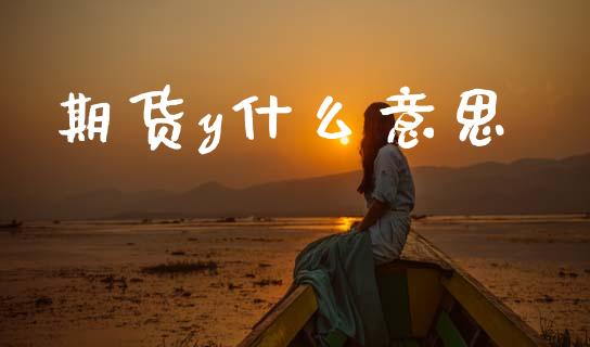 期货y什么意思_https://wap.yjjixie.cn_证券市场_第1张