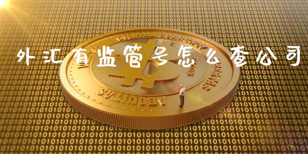 外汇有监管号怎么查公司_https://wap.yjjixie.cn_证券市场_第1张